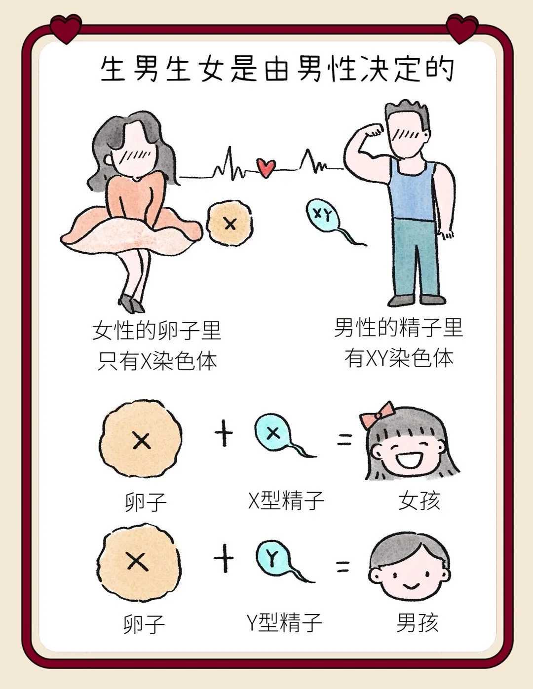 广州高龄备孕必看：夫妻双方不孕如何选三代试管与代怀